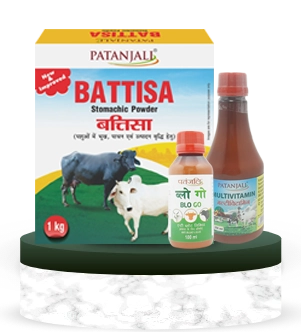 Animal Nutrition