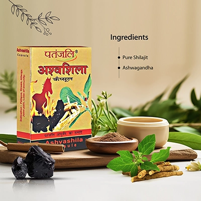 Patanjali Ashvashila