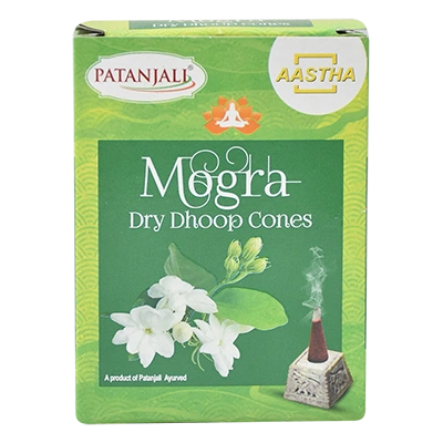 Aastha Mogra Dry Dhoop Cone