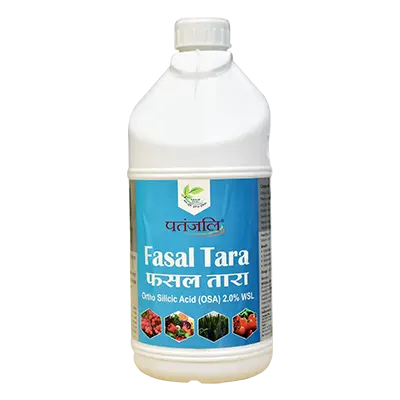 Patanjali Fasal Tara