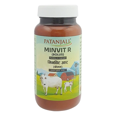Patanjali Minvit R Bolus 3.5 G X 60 N